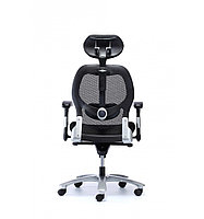 Эргономичное кресло Eagle Seating SATURNO