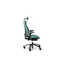Эргономичное кресло  RH Mereo 220