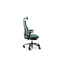Эргономичное кресло  RH Mereo 220