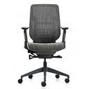 Эргономичное кресло Eagle Seating Karme