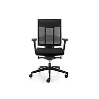 Эргономичное кресло Xenon net