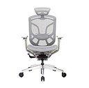 Крісло Dvary Ergo Seating, Спинка Сіра, Білий пластик, Сіра сітка GT-25. Гарантія 36 міс.