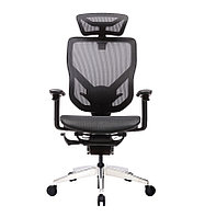 Крісло Vida Dvary Ergo Seating, база алюміній, механізм WCM, сітка чорна GT -27. Гарантія 36 міс. 
