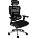 Крісло ERGOHUMAN ELITE 2 (EHE2-AB-HAM-5D-L, СІТКА T-168-B1BLACK), ергономічне